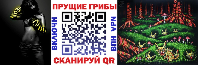 Галлюциногенные грибы MAGIC MUSHROOMS  Купить где  Светлоград 